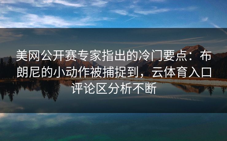 美网公开赛专家指出的冷门要点：布朗尼的小动作被捕捉到，云体育入口评论区分析不断